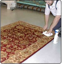Carpet Cleaners (NCCA approved), Odour, Urine and Stain removal. 352389 Image 0